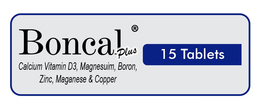 WhatsApp Image 2025-10-31 at 10.00.11 PM